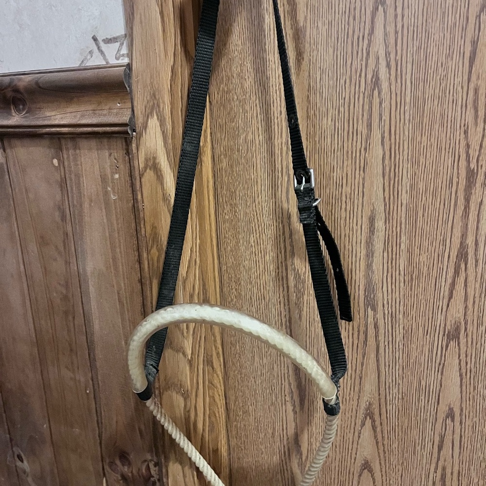 Black and Rope tie down